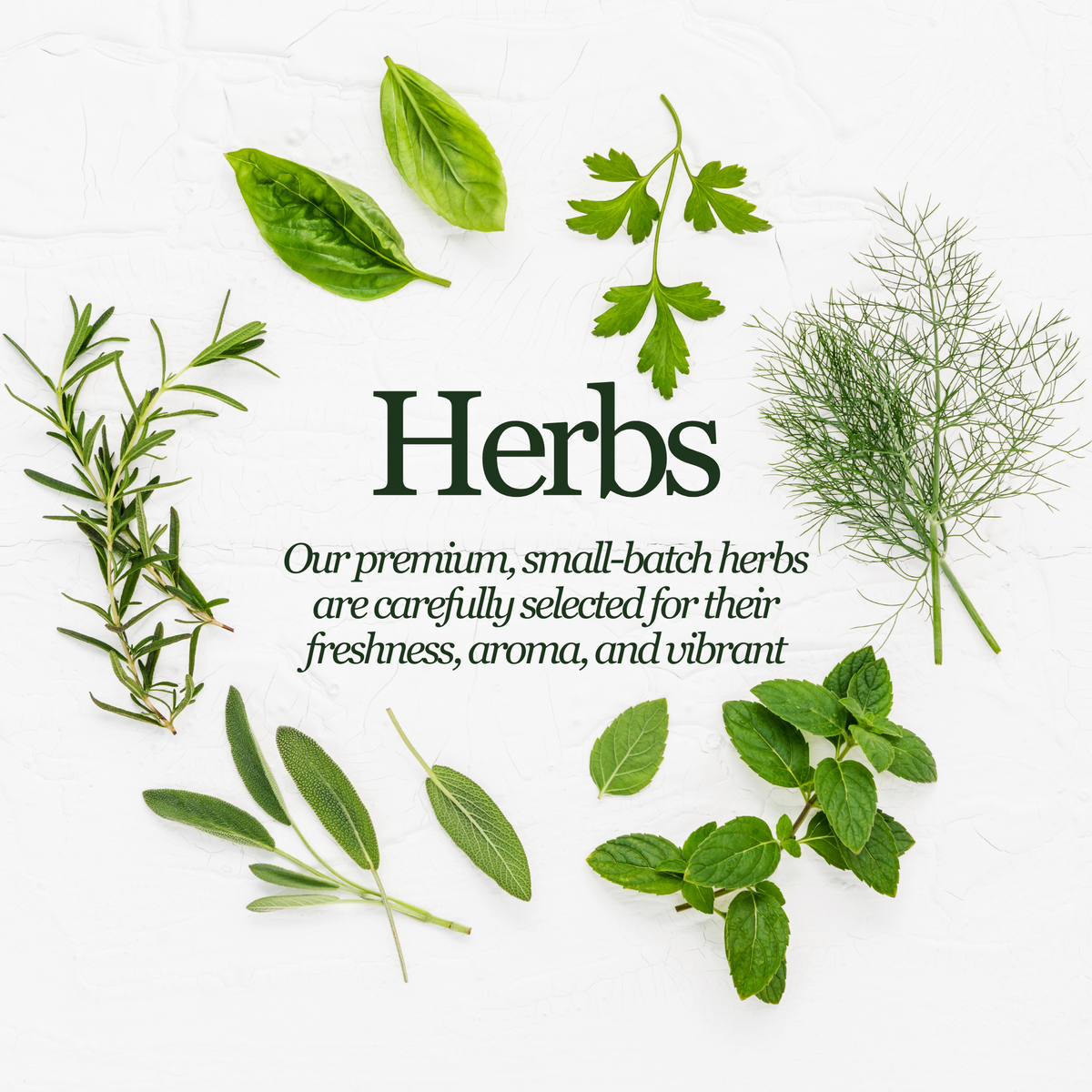 An overhead flat-lay of various fresh green herbs arranged around centered text that reads 'Herbs' with a smaller descriptive paragraph below, on a light textured white background.